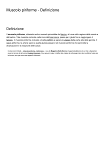 Muscolo piriforme - Definizione