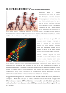 Il gene dell`obesità - Erboristeria Arcobaleno