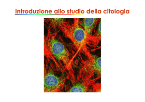 Citologia - Progetto e