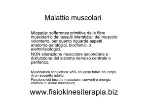 distrofie muscolari - Fisiokinesiterapia