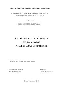 STUDIO DELLA VIA DI SEGNALE PI3K/Akt/mTOR NELLE CELLULE