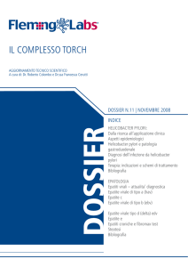 IL COMPLESSO TORCH