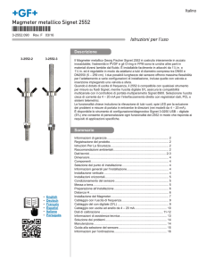 Magmeter metallico Signet 2552