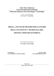messa a punto di metodi per lo studio della plasticita` neuronale del