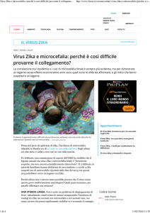 Virus Zika e microcefalia: perché è così difficile