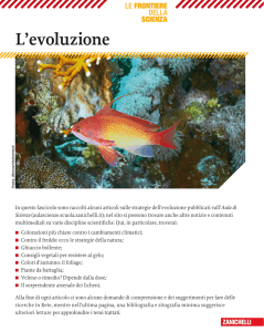 L`evoluzione - Liceo Classico Galluppi di Catanzaro