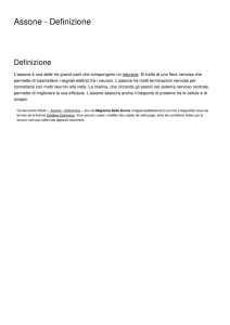 Assone - Definizione - Magazine Delle Donne