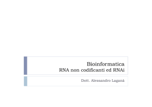 RNA non codificanti ed RNAi