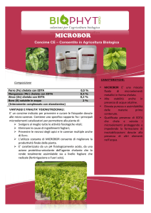 microbor - Biophyt agro