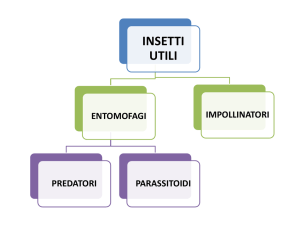Diapositiva 1 - Istituto Serpieri Bologna