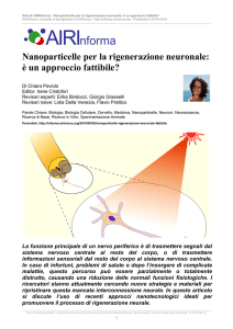 Nanoparticelle per la rigenerazione neuronale: è un