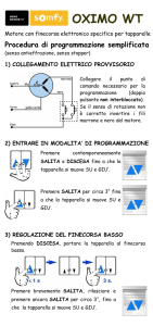 Somfy istruzioni motori OXIMO WT