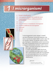 1 l microrganismi