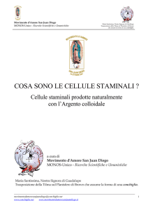 cellule staminali e argento colloidale