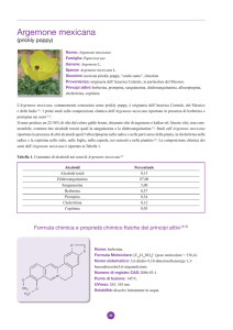 Argemone mexicana