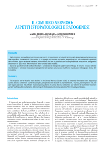 il cimurro nervoso: aspetti istopatologici e patogenesi