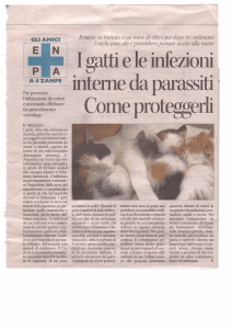 Corriere di Arezzo del 28 Aprile 2013