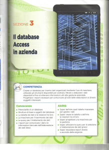II database Access in azienda