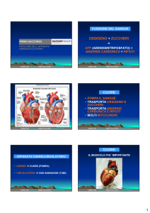 Patologie dell`Apparato Cardio-Circolatorio