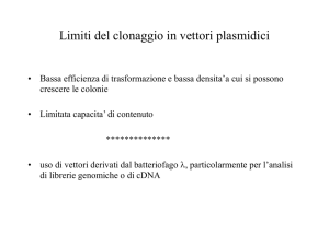 14-DNA ricombinante 2 BS [Salvato automaticamente]