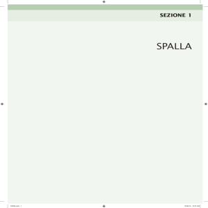 spalla - Doctor33