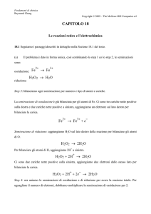 Capitolo 18 - Le reazioni redox e l`elettrochimica