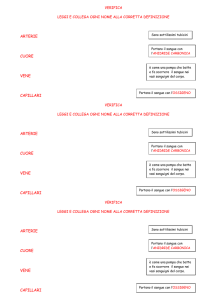 ARTERIE CUORE VENE CAPILLARI ARTERIE CUORE VENE