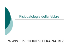 Fisiopatologia della febbre WWW.FISIOKINESITERAPIA.BIZ