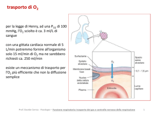 a17 funzione respiratoria trasporto dei gas e controllo