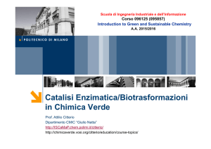 Catalisi Enzimatica/Biotrasformazioni in Chimica Verde