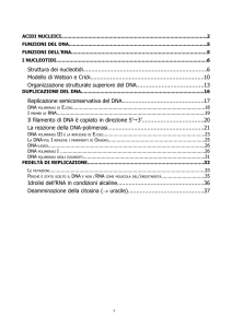 22-Struttura e replicazione del DNA