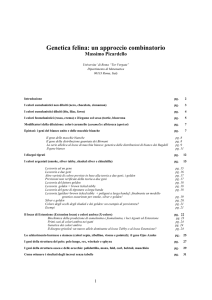 Genetica felina: un approccio combinatorio