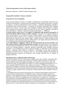 Meccanica di proteine e filamenti mediante trappola ottica