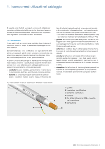 1. I componenti utilizzati nel cablaggio