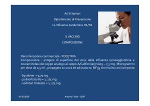 AH1N1 Composizione del vaccino, dr. A.Frailis [file]