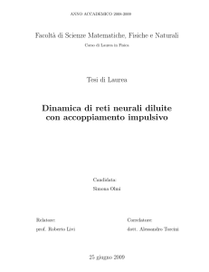 Dinamica di reti neurali diluite con accoppiamento impulsivo
