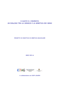 Il Gusto e l`Odorato.Un dialogo tra la Chimica e la Genetica dei sensi