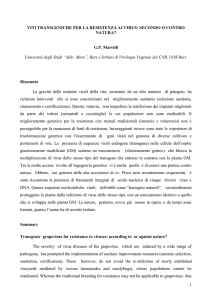 Apri - Accademia Italiana della Vite e del Vino