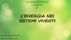 L`energia Nei Sistemi Viventi - Suore Salesiane dei Sacri Cuori