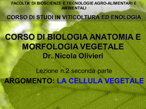 La cellula vegetale parte II File - Progetto e