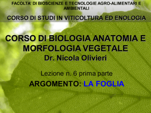 La foglia parte I File - Progetto e