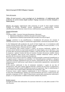 Sintesi dei progetti EURECO/Regione Campania Titolo del progetto
