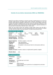 Varietà di orzo distico denominata IDRA (ex PANDORA) - Cra