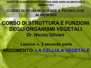 Parte II File - Progetto e