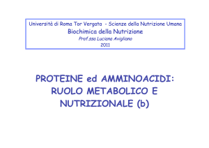 4 proteine-digiuno SNU 2011