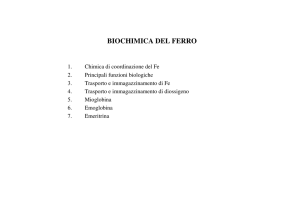biochimica del ferro - Appunti delle lezioni di CHIMICA del Prof