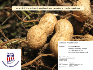 Arachidi Statunitensi - American Peanut Council