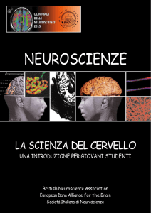 Neuroscienze. La scienza del cervello