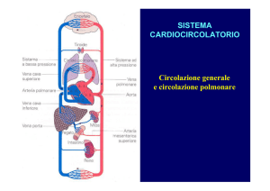 Circolazione generale e circolazione polmonare