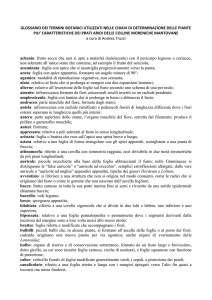 Glossario di botanica prati aridi